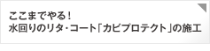 ここまでやる！水回りのリタ・コート「カビプロテクト」の施工