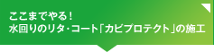 ここまでやる！水回りのリタ・コート「カビプロテクト」の施工