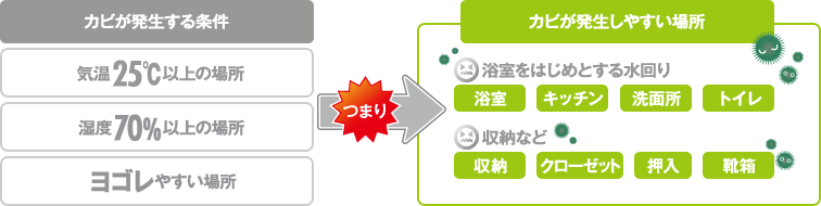 カビが発生する条件、カビが発生しやすい場所