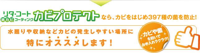 リタ・コート「カビプロテクト」なら、カビをはじめ397種の菌を防止!水回りや収納などカビの発生しやすい場所に特にオススメします!カビや菌を防いでお手入れラクラク!
