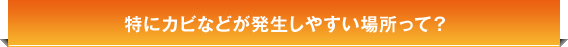 特にカビなどが発生しやすい場所って？