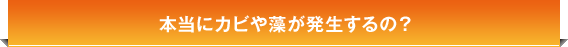 本当にカビや藻が発生するの？