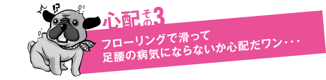 心配その3「フローリングで滑って足腰の病気にならないか心配だワン…」