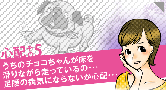 心配その5「うちのチョコちゃんが床を滑りながら走っているの…足腰の病気にならないか心配…」