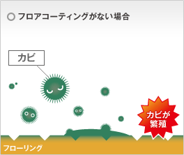 リタ・コート30ならカビなどの発生を防止！-フロアコーティングがない場合