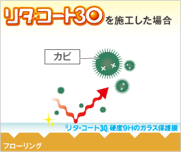 リタ・コート30ならカビなどの発生を防止！-リタ・コート30を施工した場合