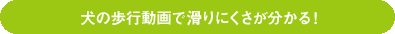 犬の歩行動画で滑りにくさが分かる!